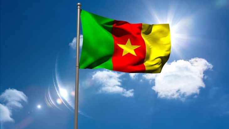 Vietnamese leaders send congratulatory messages on Cameroon National Day - ảnh 1